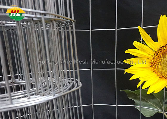 Hot Dipped Galvanized 2"X 4'' Rectangle Mesh 14 Gauge 36inch X 50ft Welded Wire Mesh Fence Rolls For Craft Work