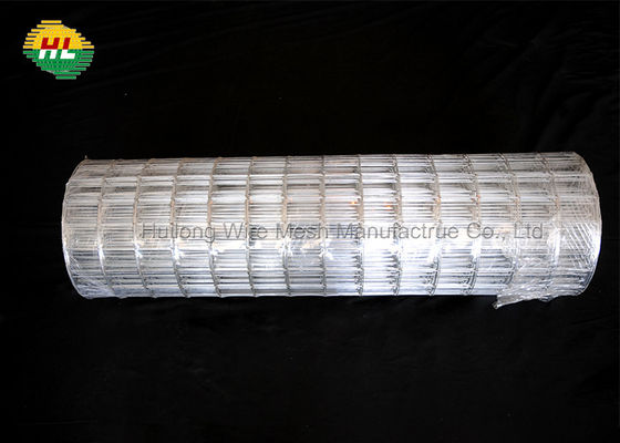 cold Galvanized 16GA Welded Wire Mesh Rolls 2x3 inch for Home Garden Fence