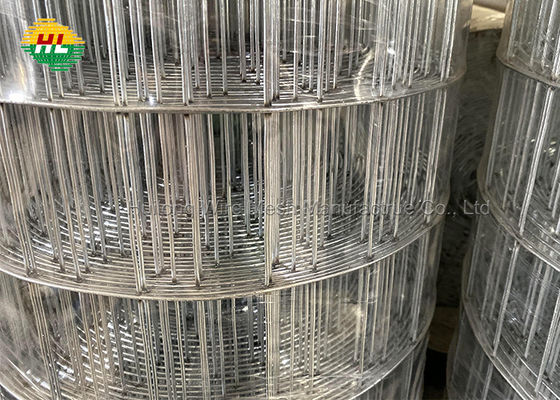 cold Galvanized 16GA Welded Wire Mesh Rolls 2x3 inch for Home Garden Fence