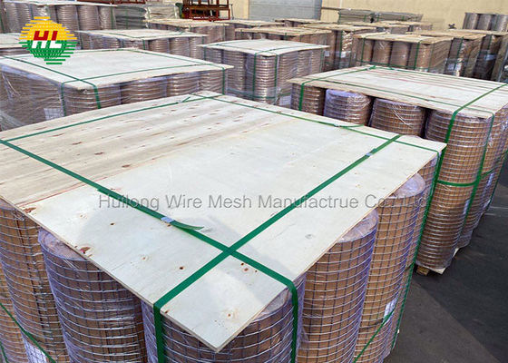 Galvanized Before Welding 1 inch x 1 inch 3ft x 19.5m 14Gauge Welded Wire Mesh Roll with Pallet for Home Garden Projects