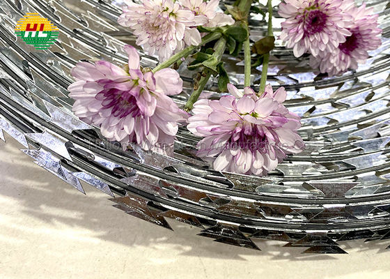 Diameter 2.8mm Security Fence Barbed Wire Top for House Anti Theft