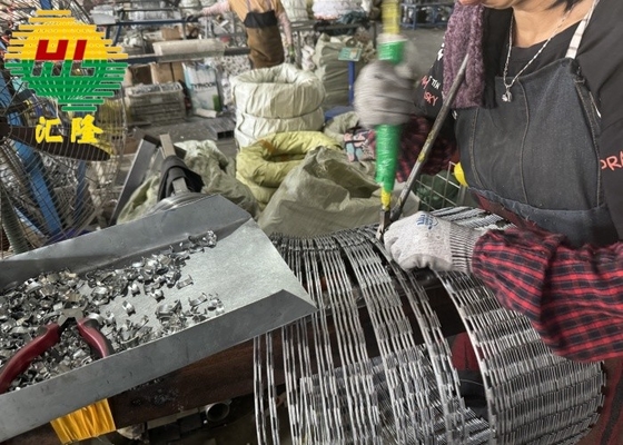 Nido anti-robo jaula rodante hoja de afeitar alambre galvanizado